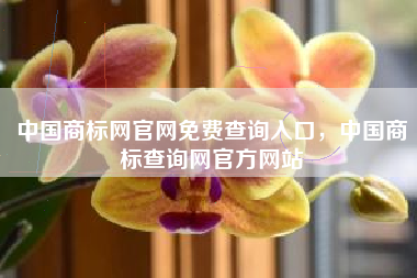 中国商标网官网免费查询入口，中国商标查询网官方网站