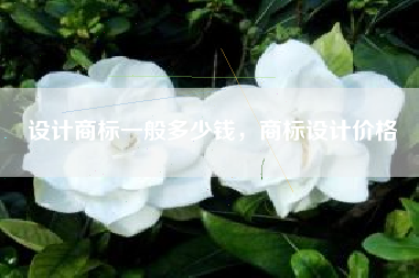 设计商标一般多少钱，商标设计价格