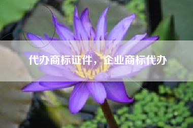 代办商标证件，企业商标代办