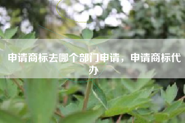 申请商标去哪个部门申请，申请商标代办