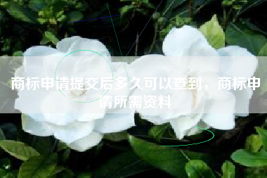商标申请提交后多久可以查到，商标申请所需资料