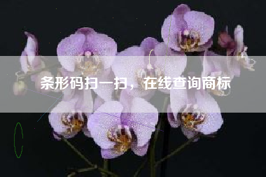 条形码扫一扫，在线查询商标