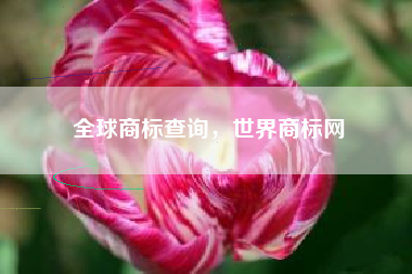 全球商标查询，世界商标网