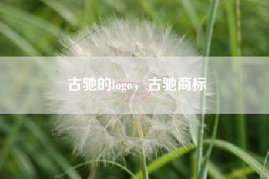 古驰的logo，古驰商标