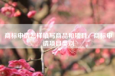 商标申请怎样填写商品和项目，商标申请项目类别