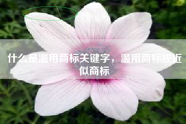 什么是滥用商标关键字，滥用商标或近似商标