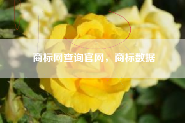 商标网查询官网，商标数据