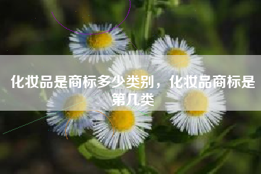 化妆品是商标多少类别，化妆品商标是第几类