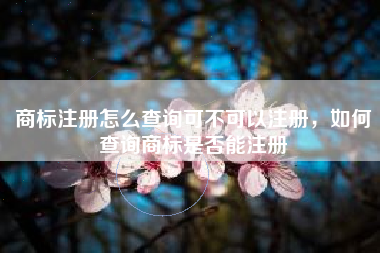 商标注册怎么查询可不可以注册，如何查询商标是否能注册