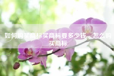 如何购买商标买商标要多少钱，怎么购买商标