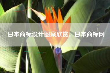 日本商标设计图案欣赏，日本商标网