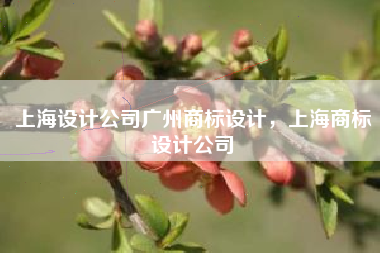 上海设计公司广州商标设计，上海商标设计公司
