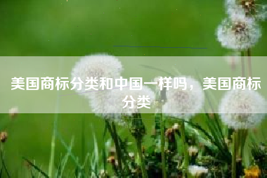 美国商标分类和中国一样吗，美国商标分类
