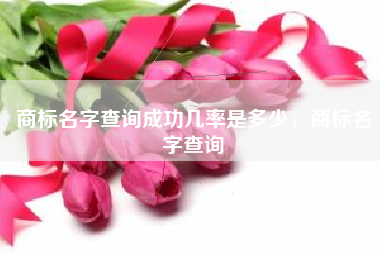 商标名字查询成功几率是多少，商标名字查询