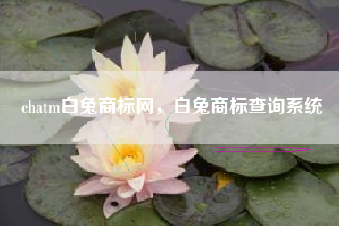 chatm白兔商标网，白兔商标查询系统