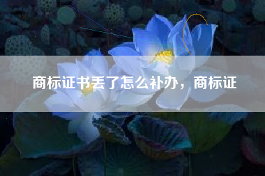 商标证书丢了怎么补办，商标证