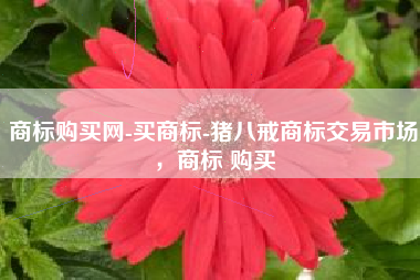 商标购买网-买商标-猪八戒商标交易市场，商标 购买