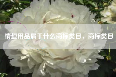 情趣用品属于什么商标类目，商标类目
