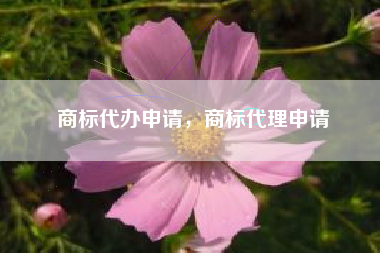 商标代办申请，商标代理申请