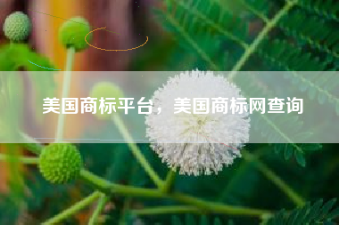 美国商标平台，美国商标网查询