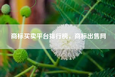 商标买卖平台排行榜，商标出售网