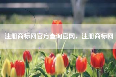 注册商标网官方查询官网，注册商标网