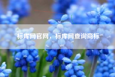 标库网官网，标库网查询商标