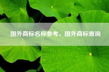 国外商标名称参考，国外商标查询