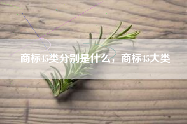 商标45类分别是什么，商标45大类