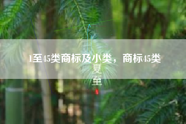 1至45类商标及小类，商标45类