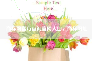 商标网官方查询官网入口，商标网址