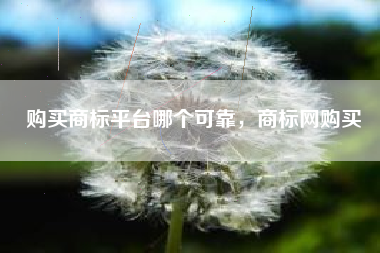 购买商标平台哪个可靠，商标网购买