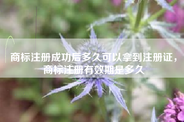 商标注册成功后多久可以拿到注册证，商标注册有效期是多久