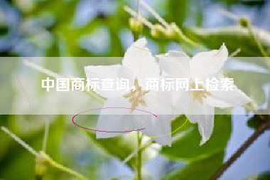 中国商标查询，商标网上检索
