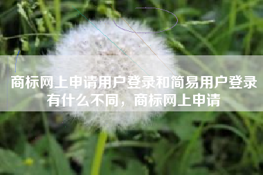 商标网上申请用户登录和简易用户登录有什么不同，商标网上申请