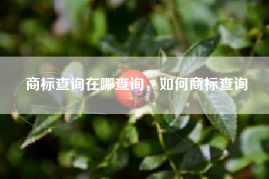 商标查询在哪查询，如何商标查询