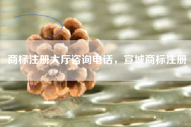 商标注册大厅咨询电话，宣城商标注册