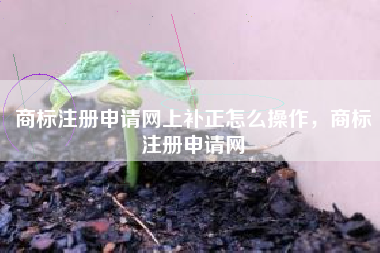 商标注册申请网上补正怎么操作，商标注册申请网