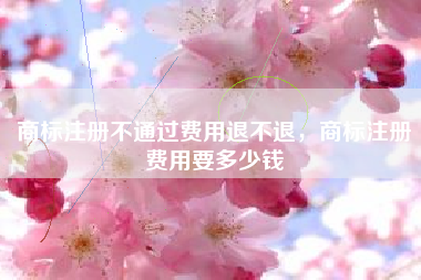 商标注册不通过费用退不退，商标注册费用要多少钱