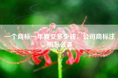 一个商标一年要交多少钱，公司商标注册怎么弄