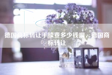 德国商标转让手续费多少钱啊，德国商标转让