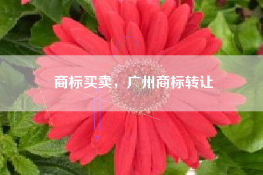 商标买卖，广州商标转让