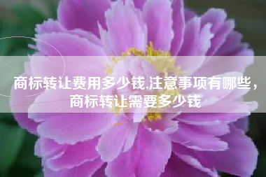 商标转让费用多少钱,注意事项有哪些，商标转让需要多少钱