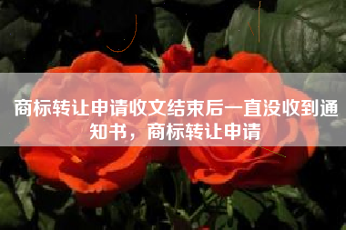 商标转让申请收文结束后一直没收到通知书，商标转让申请