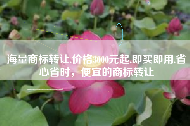 海量商标转让,价格3000元起,即买即用,省心省时，便宜的商标转让