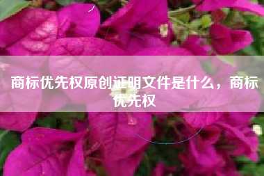 商标优先权原创证明文件是什么，商标优先权