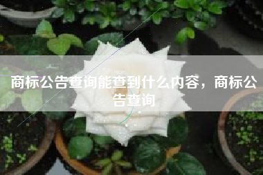 商标公告查询能查到什么内容，商标公告查询