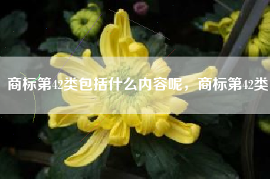 商标第42类包括什么内容呢，商标第42类