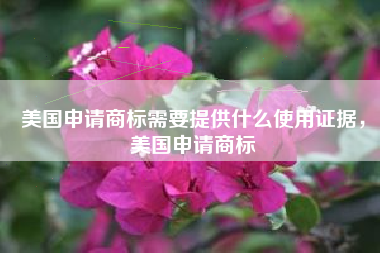 美国申请商标需要提供什么使用证据，美国申请商标