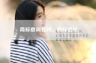 商标查询官网，商标估价